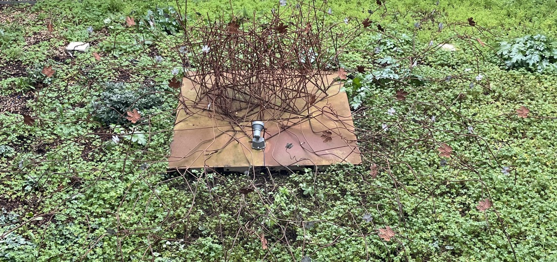 Chais Monnet Mess in the Middle