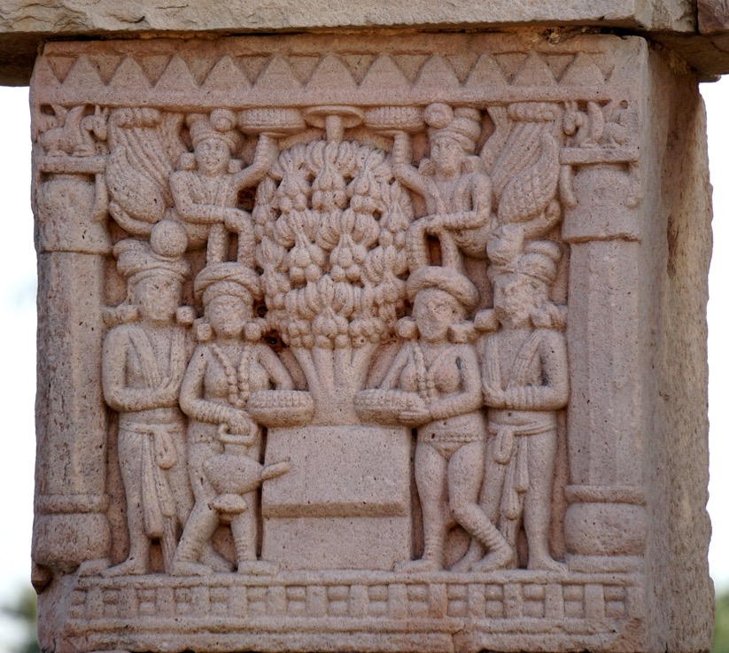 Sanchi South Gate Bodhi Tree