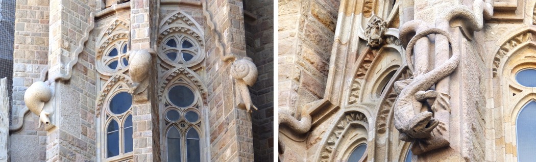 Gargoyle Snails and Cameleon