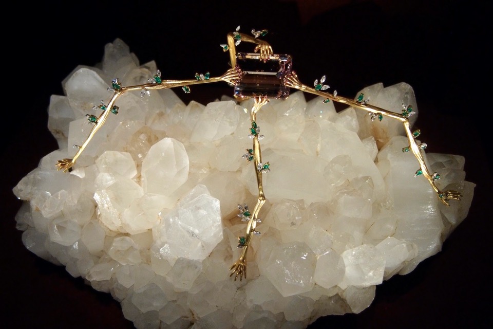 The Spider of the Night